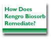 How Does Kengro Biosorb Remediate?